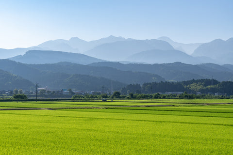 新潟縣燕三條市