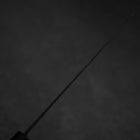 Gyuto Blue Steel #2 Kurouchi Chokin Hannya Buffalo Ebony Handle 210mm (8.3”)-[Musashi]-[Japanese-Kitchen-Knives]