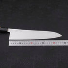Gyuto ZDP-189 Polished Buffalo Chestnuts Handle 240mm (9.4”)-[Musashi]-[Japanese-Kitchen-Knives]