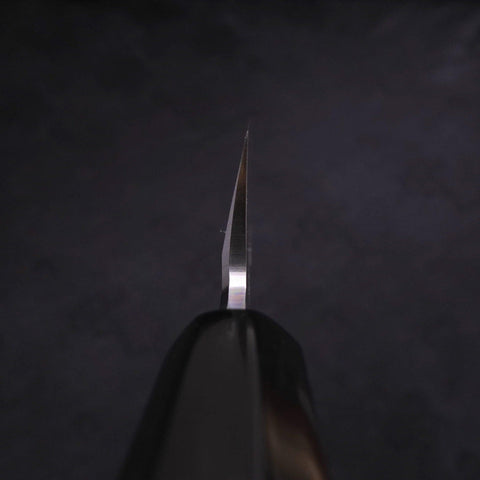Kiritsuke Blue Steel #2 Kasumi Buffalo Magnolia Handle 240mm (9.4”)-[Musashi]-[Japanese-Kitchen-Knives]