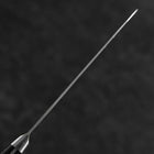Petty SKD12 Polished Western Black Handle 120mm (4.7”)-[Musashi]-[Japanese-Kitchen-Knives]