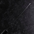 Petty Stainless Clad Blue Steel #2 Kurouchi Purple Urushi Handle 150mm (5.9”)-[Musashi]-[Japanese-Kitchen-Knives]