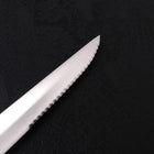 Steak knife All-Stainless Pure-Molybdenum 130mm (5.1”)-[Musashi]-[Japanese-Kitchen-Knives]