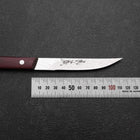 Steak knife VG-10 Tsuchime Mahogany Handle 110mm (4.3”)-[Musashi]-[Japanese-Kitchen-Knives]