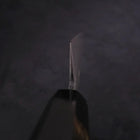 Sujihiki Blue Steel #2 Damascus Buffalo Ebony Handle 270mm (10.6”)-[Musashi]-[Japanese-Kitchen-Knives]