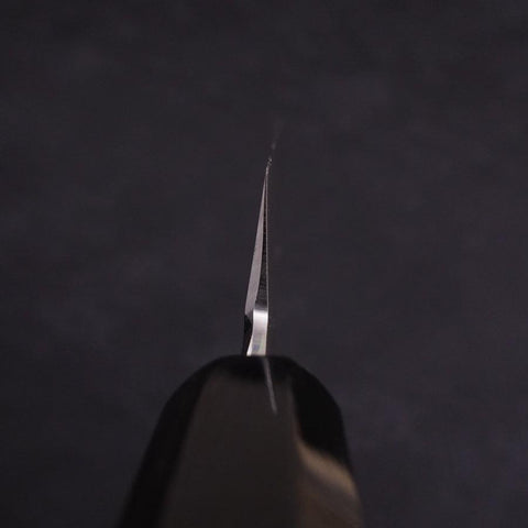 Yanagi Kiritsuke Silver Steel #3 Mirror Buffalo Ebony Handle 270mm (10.6”)-[Musashi]-[Japanese-Kitchen-Knives]