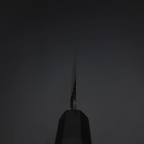 Yanagiba Blue Steel #2 Tsuchime Kurouchi Buffalo Ebony Handle 260mm-[Musashi]-[Japanese-Kitchen-Knives]