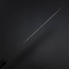 Yanagiba Blue Steel #2 Tsuchime Kurouchi Buffalo Ebony Handle 260mm-[Musashi]-[Japanese-Kitchen-Knives]