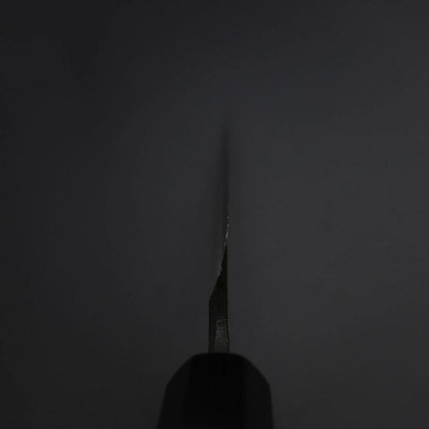 Yanagiba Blue Steel #2 Kurouchi Buffalo Ebony Handle 260mm-[Musashi]-[Japanese-Kitchen-Knives]