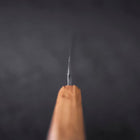 Yanagiba Silver Steel #3 Kasumi Yaki Urushi Handle 260mm-[Musashi]-[Japanese-Kitchen-Knives]