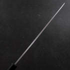 Yanagiba White Steel #2 Kasumi Buffalo Ebony Handle 270mm (10.6”)-[Musashi]-[Japanese-Kitchen-Knives]